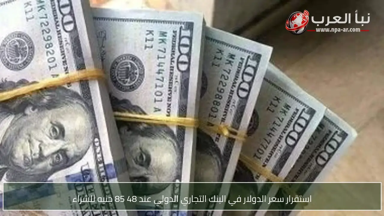 استقرار سعر الدولار في البنك التجاري الدولي عند 48 85 جنيه للشراء