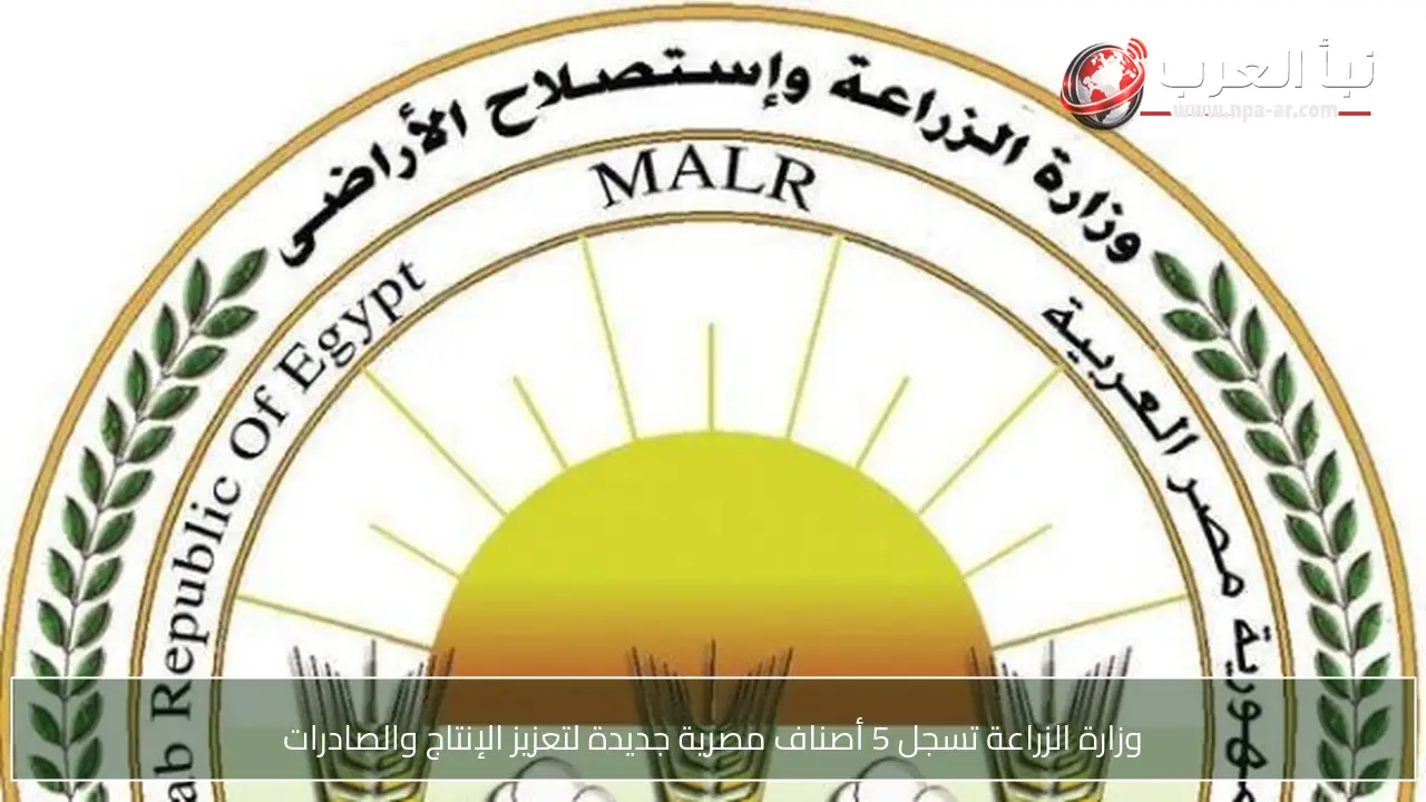 وزارة الزراعة تسجل 5 أصناف مصرية جديدة لتعزيز الإنتاج والصادرات