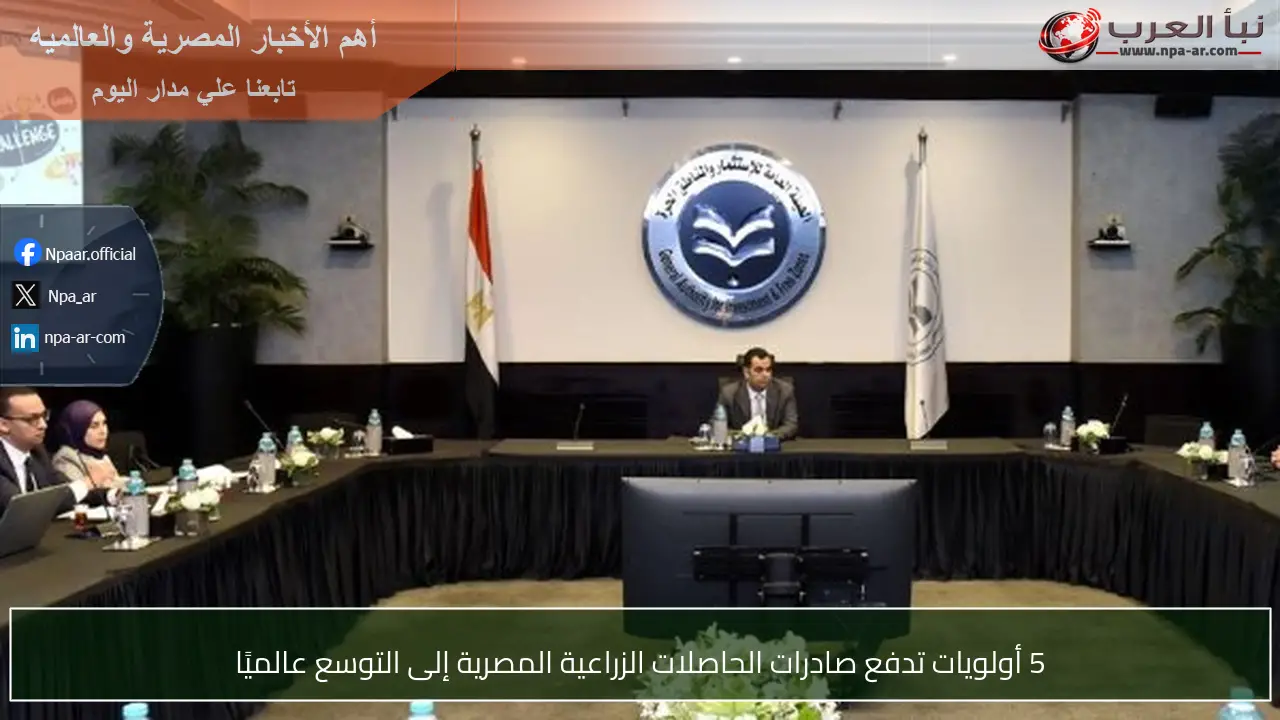 5 أولويات تدفع صادرات الحاصلات الزراعية المصرية إلى التوسع عالميًا