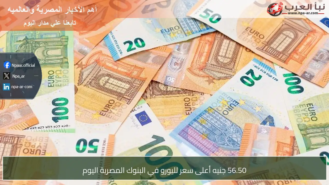 56.50 جنيه أعلى سعر لليورو في البنوك المصرية اليوم