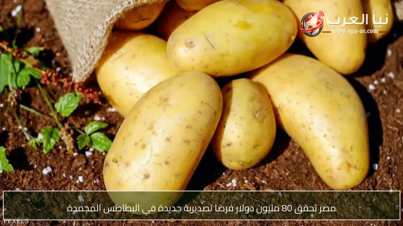 مصر تحقق 80 مليون دولار فرصًا تصديرية جديدة في البطاطس المجمدة