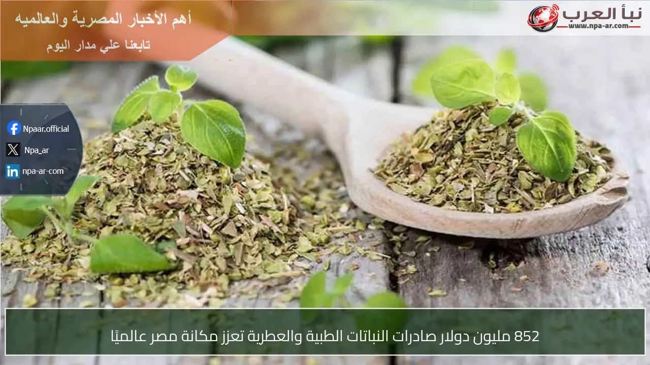 852 مليون دولار صادرات النباتات الطبية والعطرية تعزز مكانة مصر عالميًا