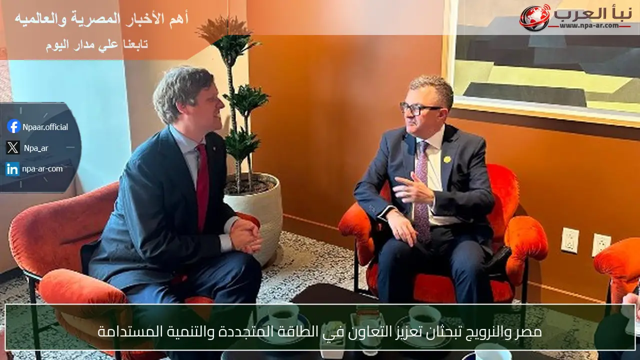مصر والنرويج تبحثان تعزيز التعاون في الطاقة المتجددة والتنمية المستدامة