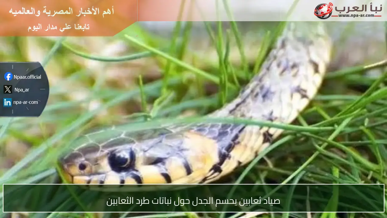 صياد ثعابين يحسم الجدل حول نباتات طرد الثعابين