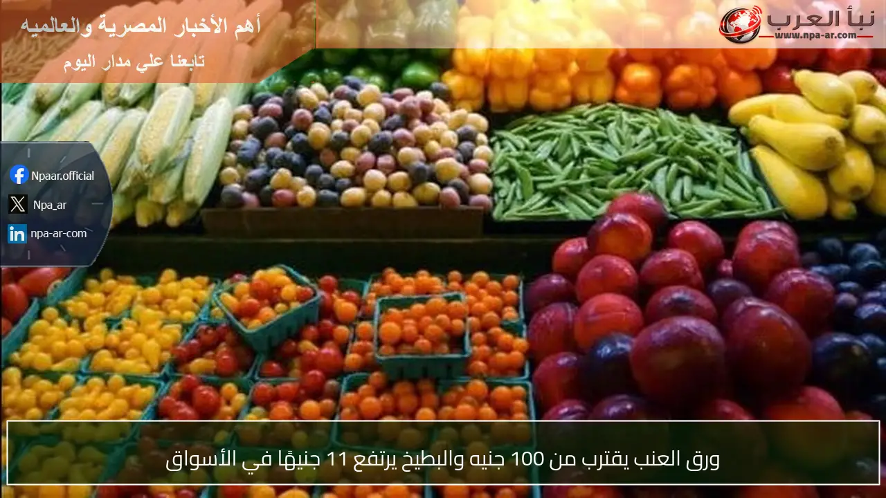 ورق العنب يقترب من 100 جنيه والبطيخ يرتفع 11 جنيهًا في الأسواق