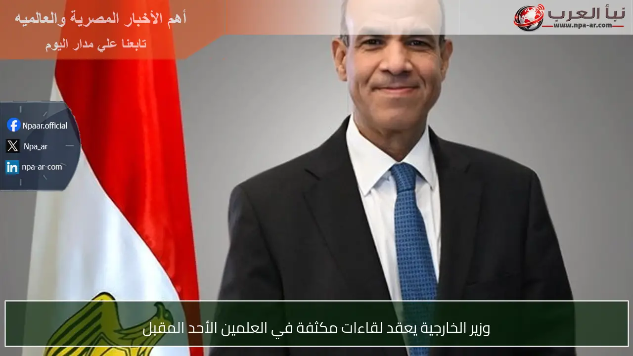 وزير الخارجية يعقد لقاءات مكثفة في العلمين الأحد المقبل