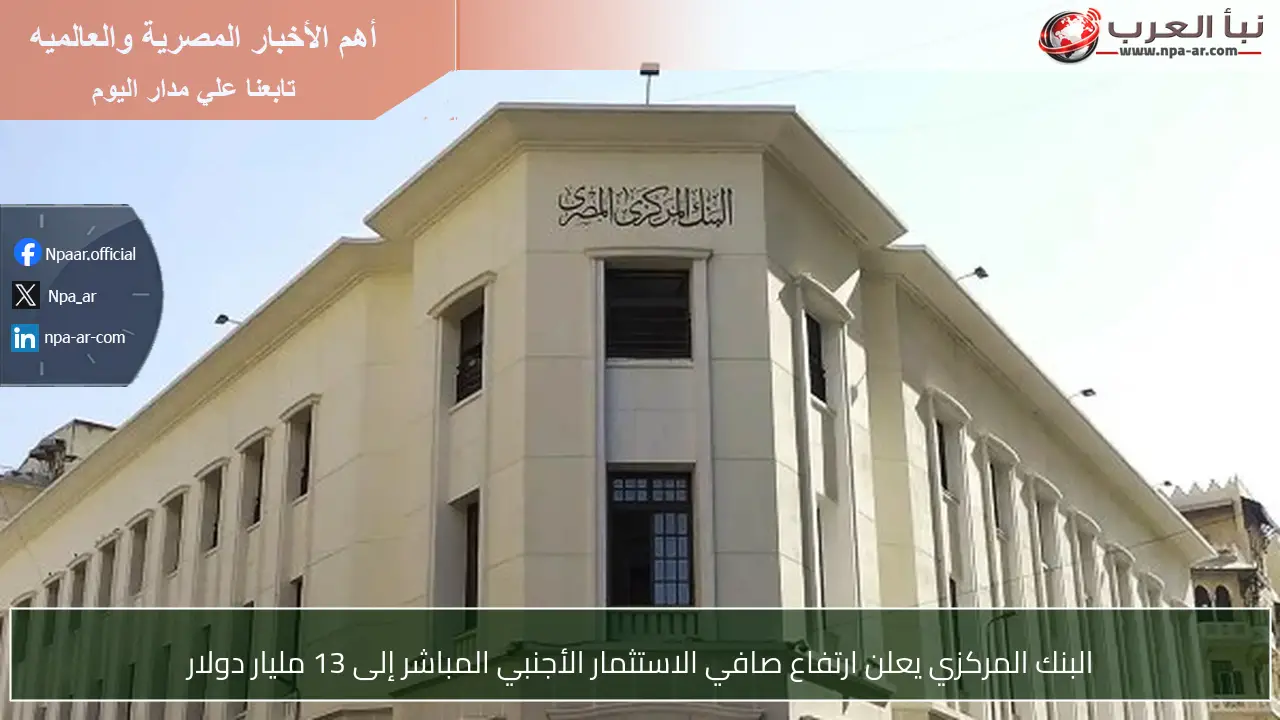 البنك المركزي يعلن ارتفاع صافي الاستثمار الأجنبي المباشر إلى 13 مليار دولار