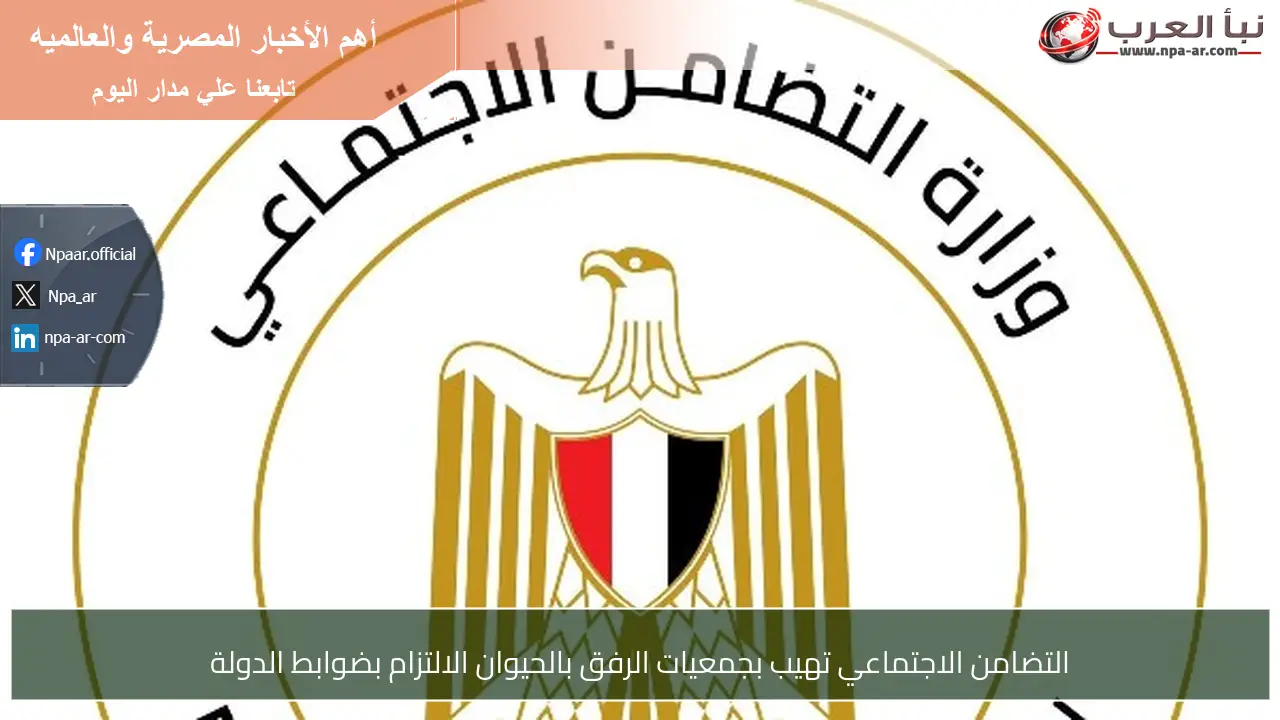 التضامن الاجتماعي تهيب بجمعيات الرفق بالحيوان الالتزام بضوابط الدولة
