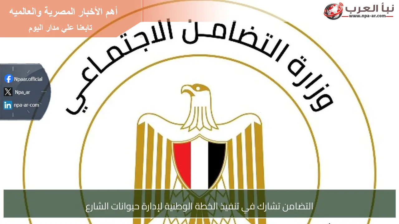 التضامن تشارك في تنفيذ الخطة الوطنية لإدارة حيوانات الشارع