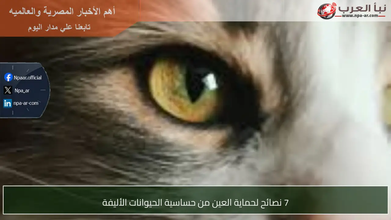 7 نصائح لحماية العين من حساسية الحيوانات الأليفة