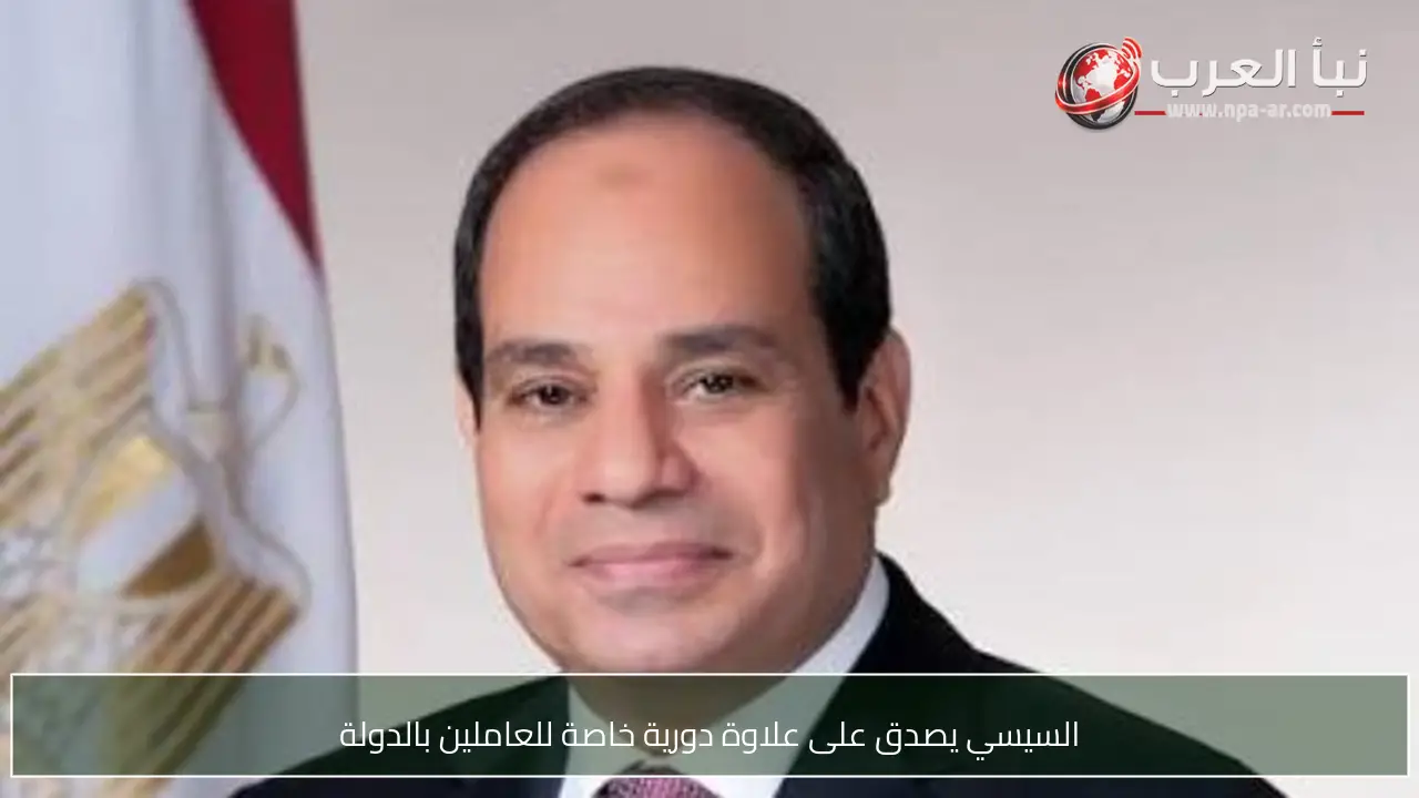 السيسي يصدق على علاوة دورية خاصة للعاملين بالدولة