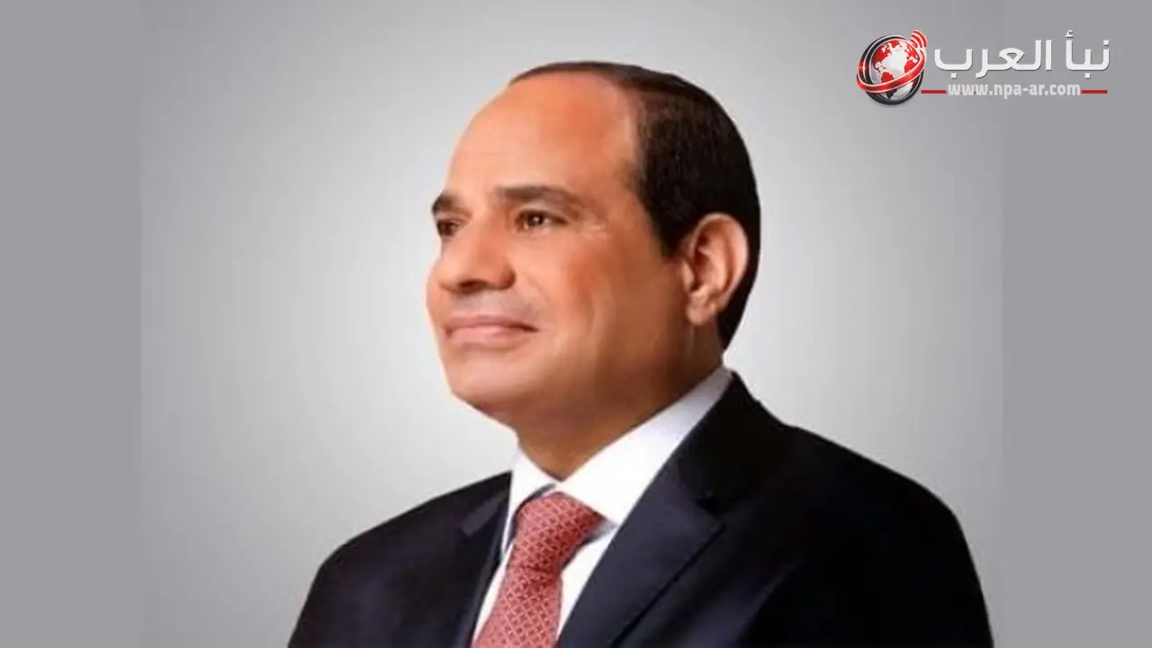 السيسي يصدق قانون زيادة الحافز الإضافي للعاملين بالدولة اعتبارا من أول يوليو