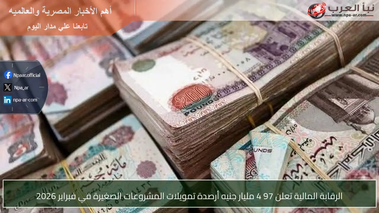 الرقابة المالية تعلن 97 4 مليار جنيه أرصدة تمويلات المشروعات الصغيرة في فبراير 2026