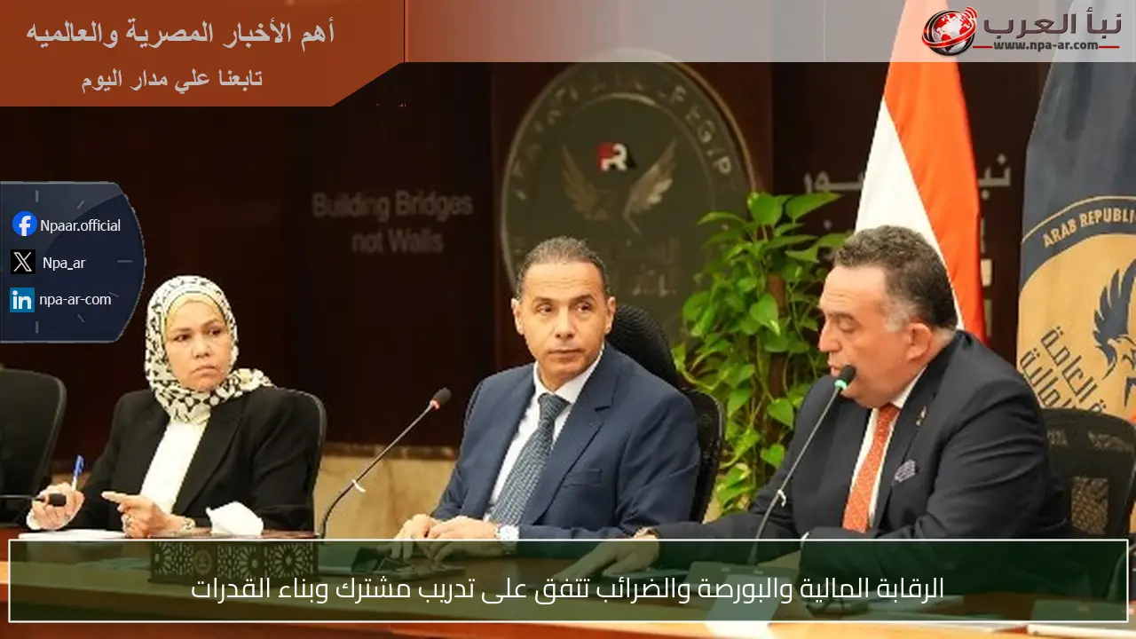 الرقابة المالية والبورصة والضرائب تتفق على تدريب مشترك وبناء القدرات