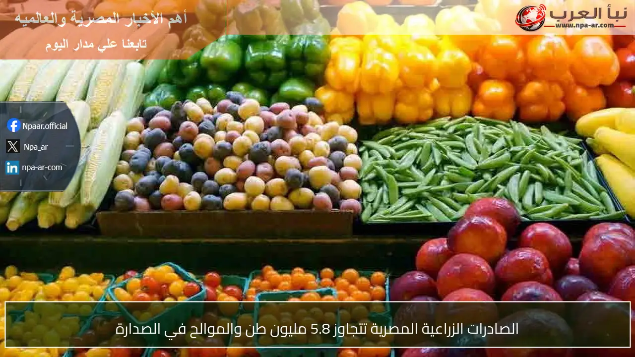الصادرات الزراعية المصرية تتجاوز 5.8 مليون طن والموالح في الصدارة