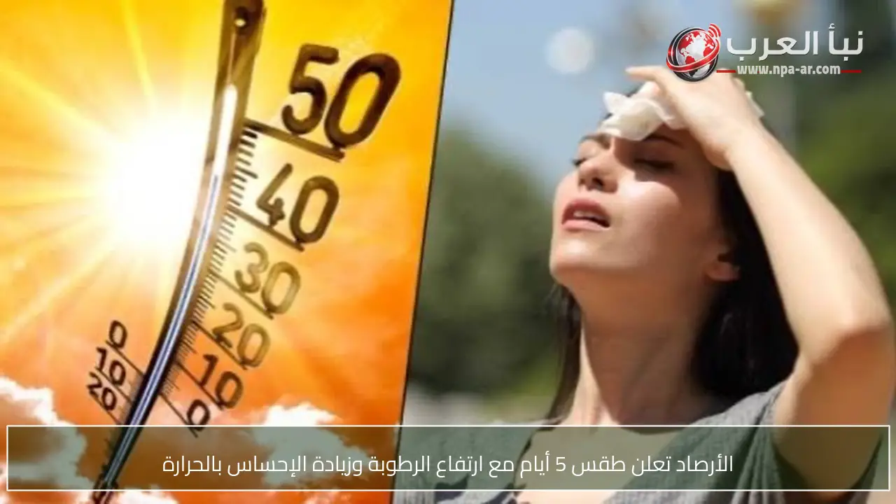 الأرصاد تعلن طقس 5 أيام مع ارتفاع الرطوبة وزيادة الإحساس بالحرارة