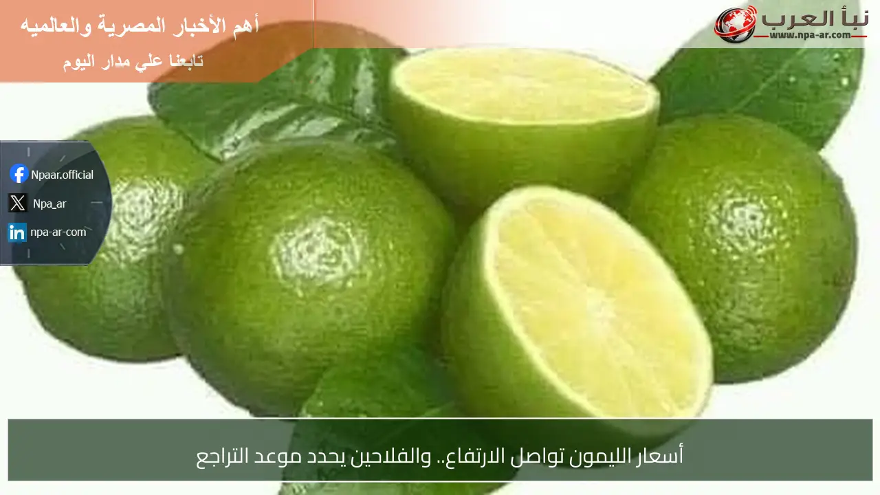 أسعار الليمون تواصل الارتفاع.. والفلاحين يحدد موعد التراجع