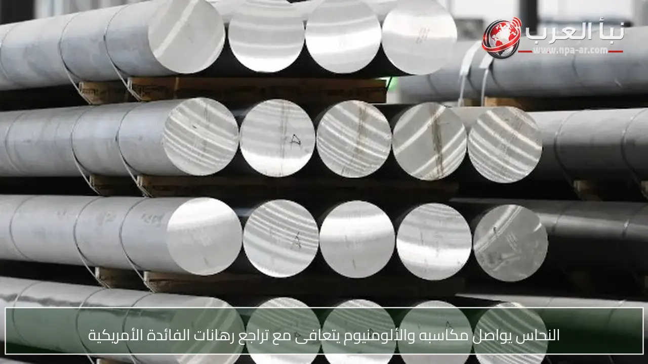 النحاس يواصل مكاسبه والألومنيوم يتعافى مع تراجع رهانات الفائدة الأمريكية