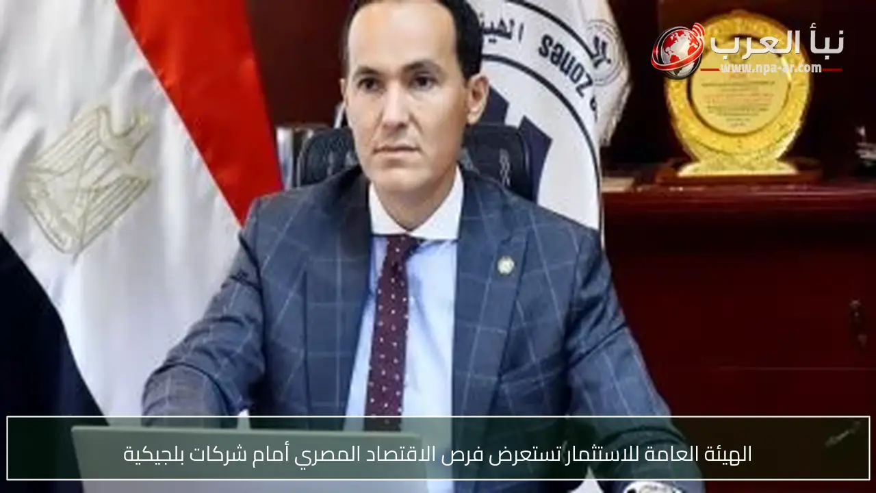 الهيئة العامة للاستثمار تستعرض فرص الاقتصاد المصري أمام شركات بلجيكية