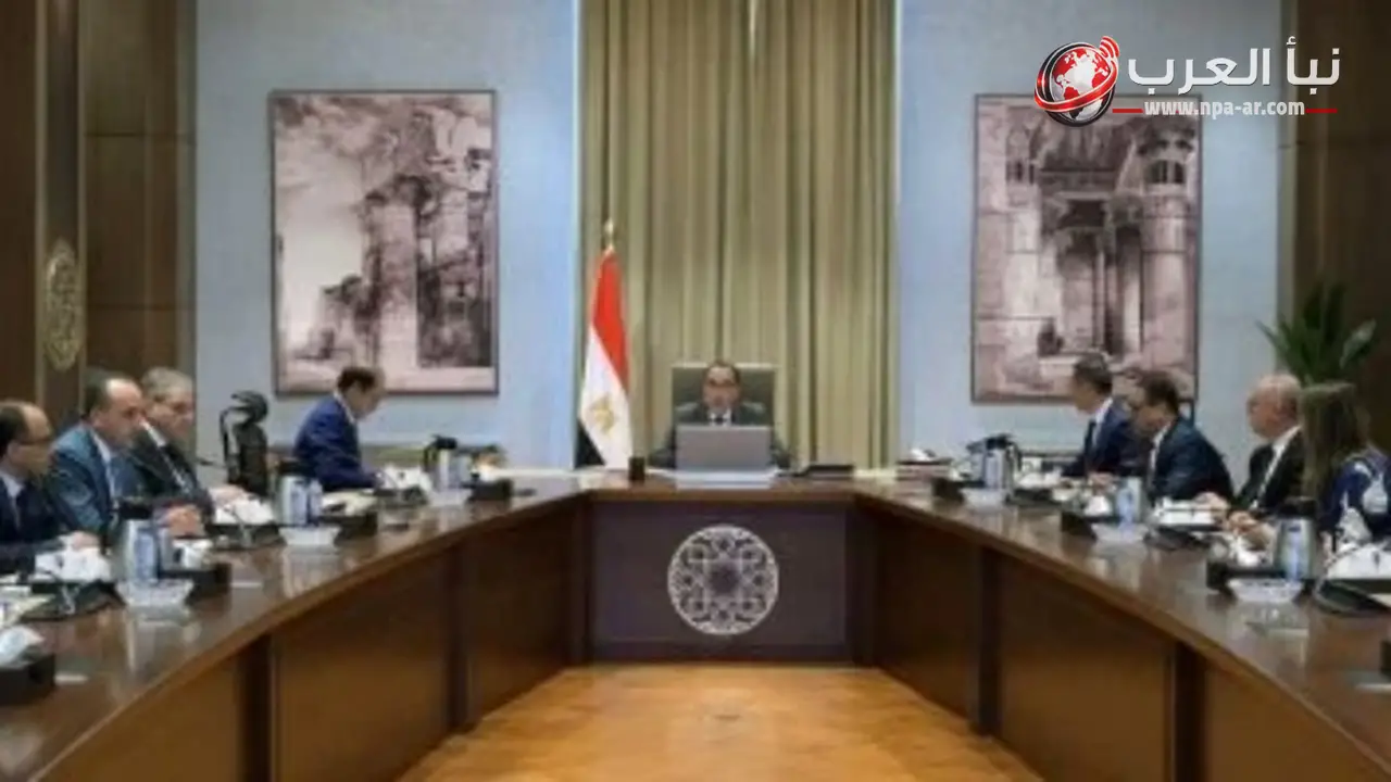 مجلس الوزراء يوافق على منح الرخصة الذهبية لشركتي بطاريات تخزين الطاقة في أسوان والسويس