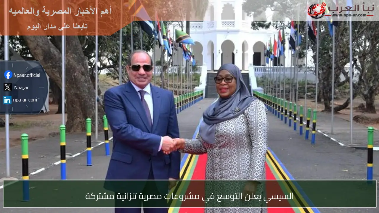 السيسي يعلن التوسع في مشروعات مصرية تنزانية مشتركة