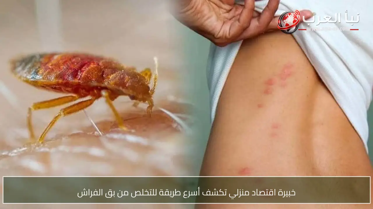 خبيرة اقتصاد منزلي تكشف أسرع طريقة للتخلص من بق الفراش