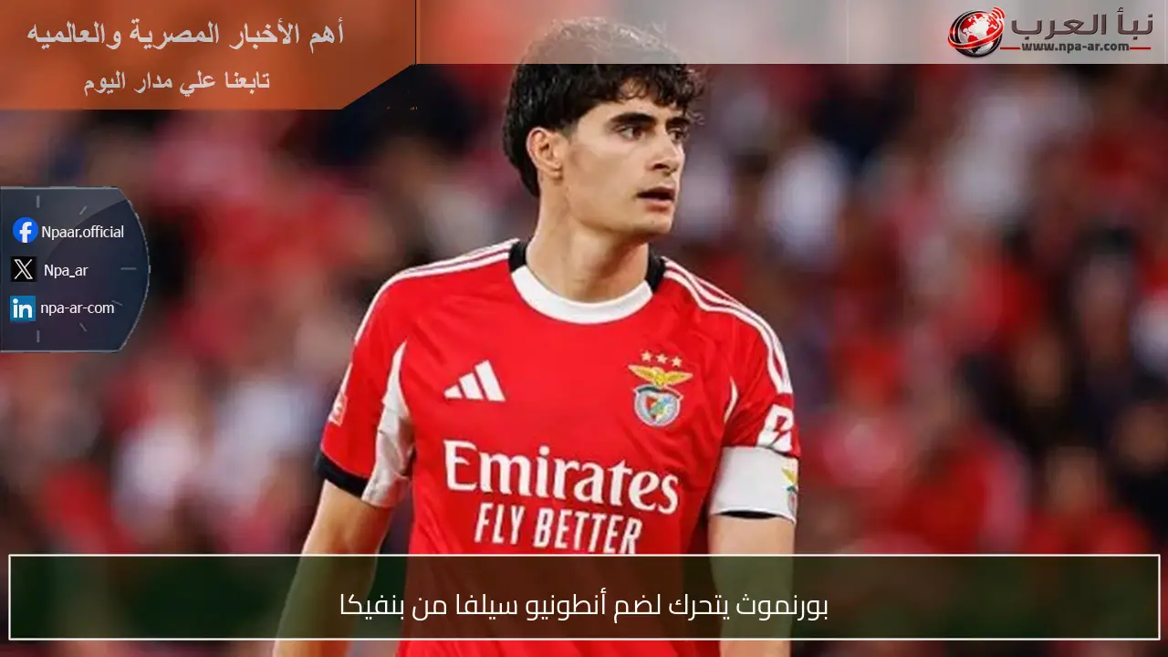 بورنموث يتحرك لضم أنطونيو سيلفا من بنفيكا