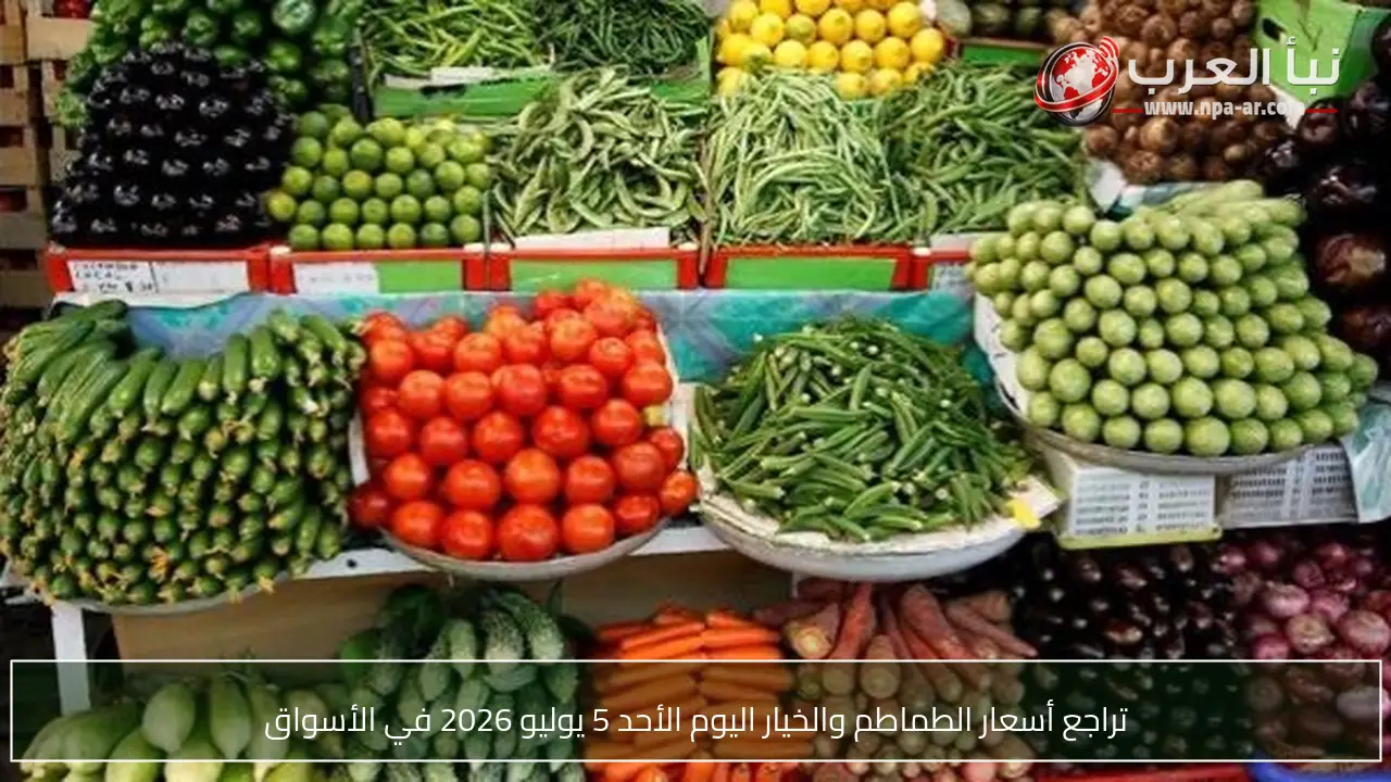 تراجع أسعار الطماطم والخيار اليوم الأحد 5 يوليو 2026 في الأسواق