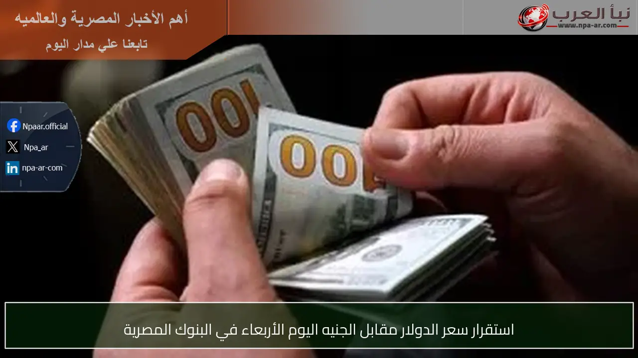 استقرار سعر الدولار مقابل الجنيه اليوم الأربعاء في البنوك المصرية