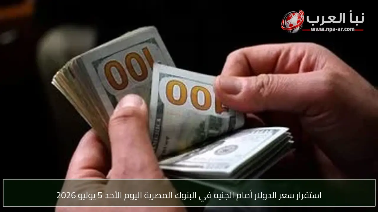 استقرار سعر الدولار أمام الجنيه في البنوك المصرية اليوم الأحد 5 يوليو 2026