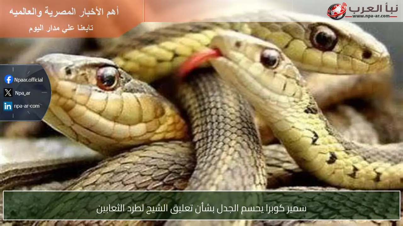 سمير كوبرا يحسم الجدل بشأن تعليق الشيح لطرد الثعابين
