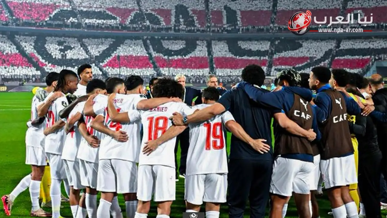 الزمالك يدخل مفاوضات رسمية مع بيدرو إيمانويل وألكسندر سانتوس لتدريب الفريق