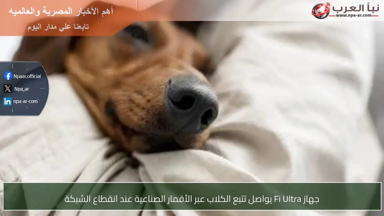 جهاز Fi Ultra يواصل تتبع الكلاب عبر الأقمار الصناعية عند انقطاع الشبكة