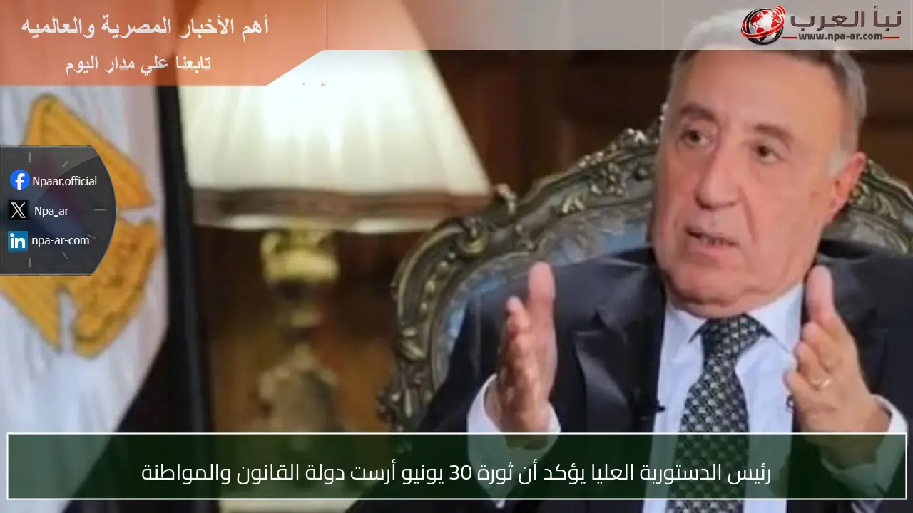 رئيس الدستورية العليا يؤكد أن ثورة 30 يونيو أرست دولة القانون والمواطنة