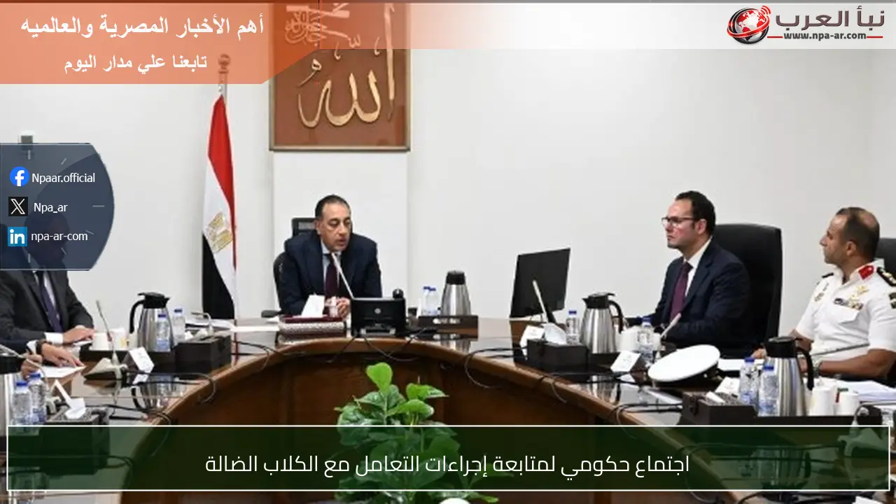 اجتماع حكومي لمتابعة إجراءات التعامل مع الكلاب الضالة