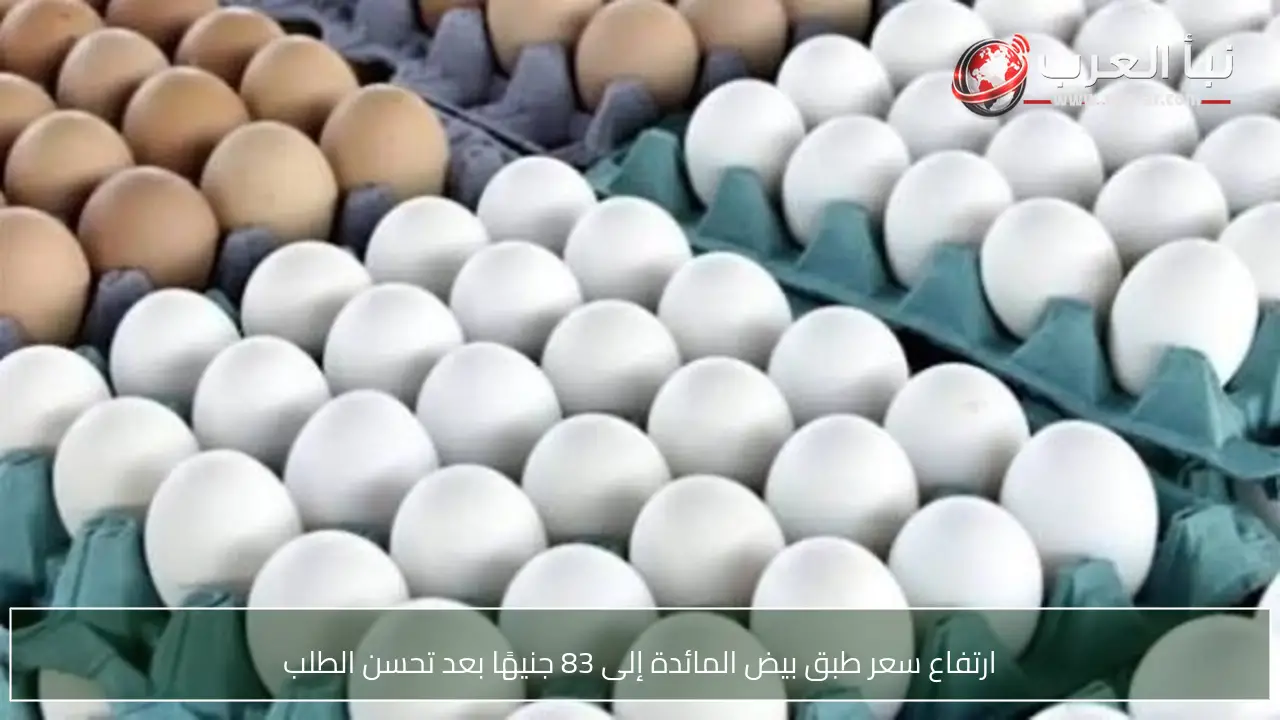 ارتفاع سعر طبق بيض المائدة إلى 83 جنيهًا بعد تحسن الطلب