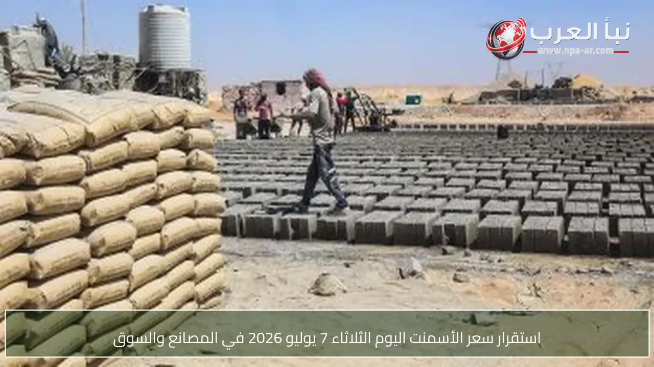 استقرار سعر الأسمنت اليوم الثلاثاء 7 يوليو 2026 في المصانع والسوق