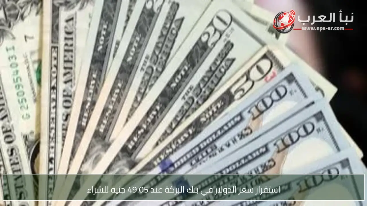استقرار سعر الدولار في بنك البركة عند 49.05 جنيه للشراء