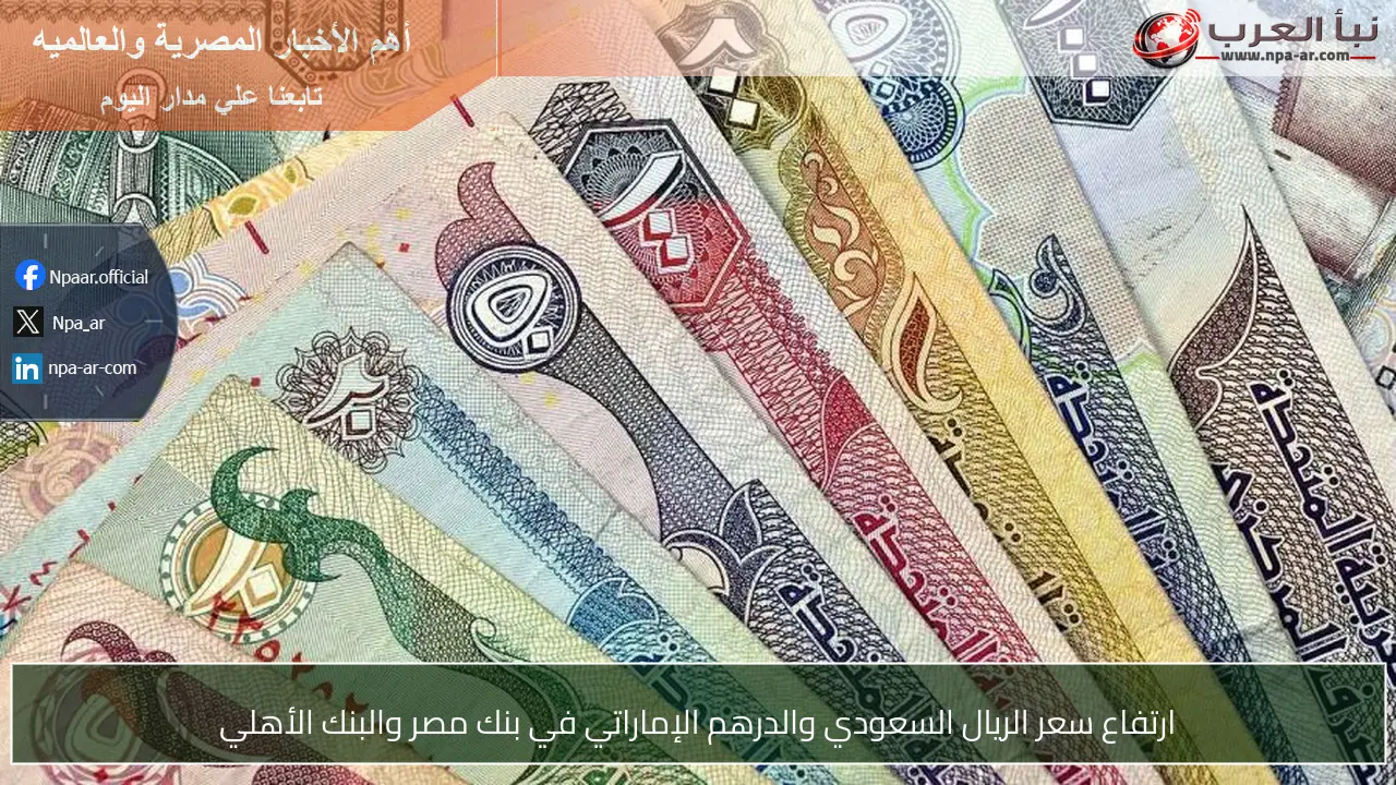 ارتفاع سعر الريال السعودي والدرهم الإماراتي في بنك مصر والبنك الأهلي