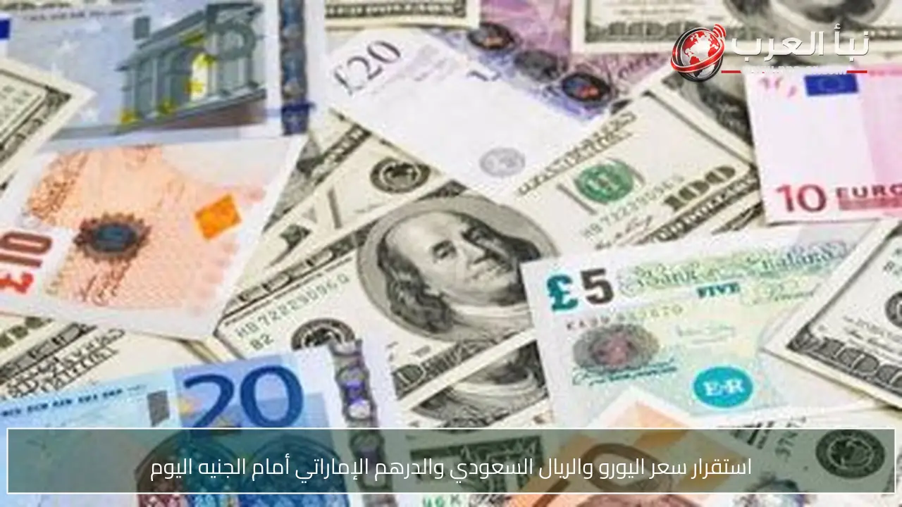 استقرار سعر اليورو والريال السعودي والدرهم الإماراتي أمام الجنيه اليوم