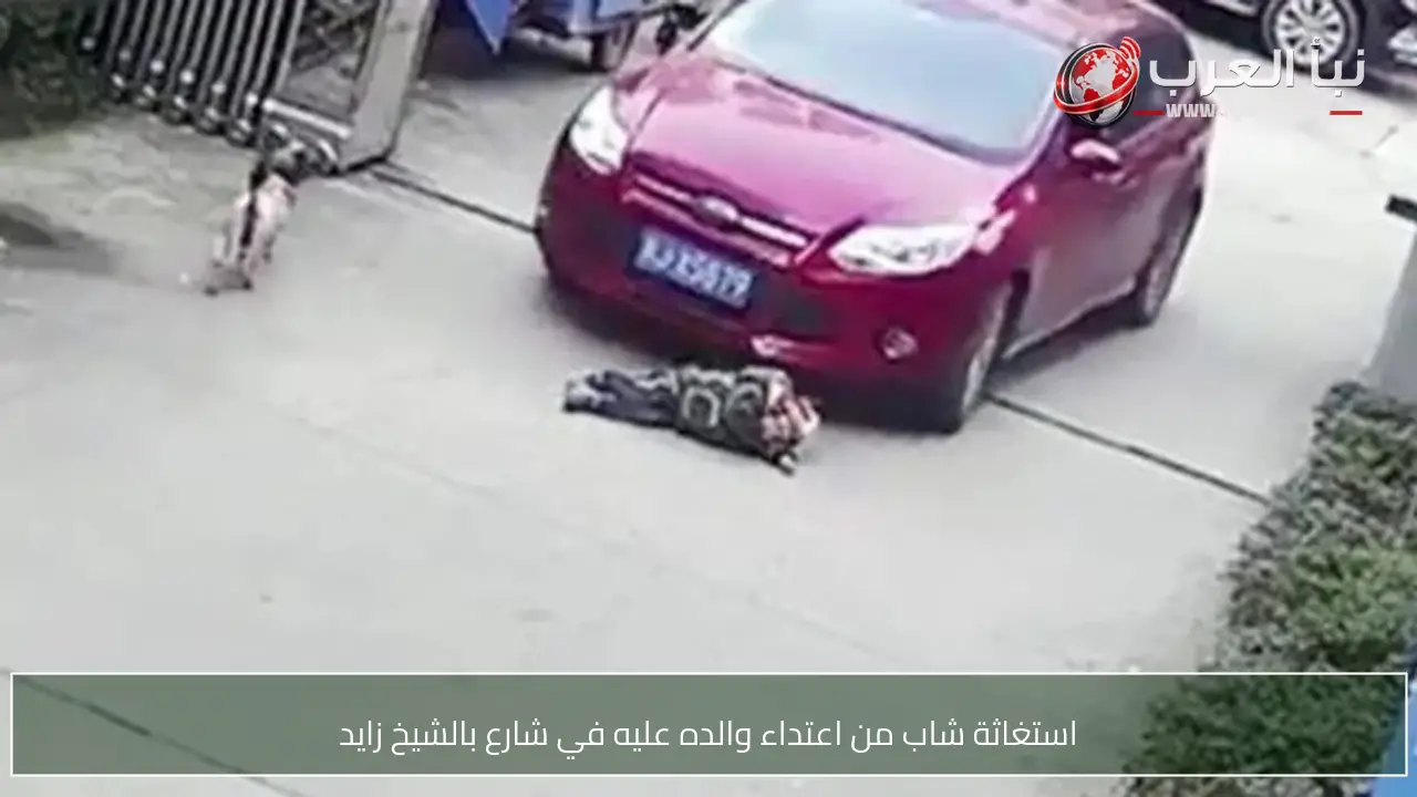استغاثة شاب من اعتداء والده عليه في شارع بالشيخ زايد