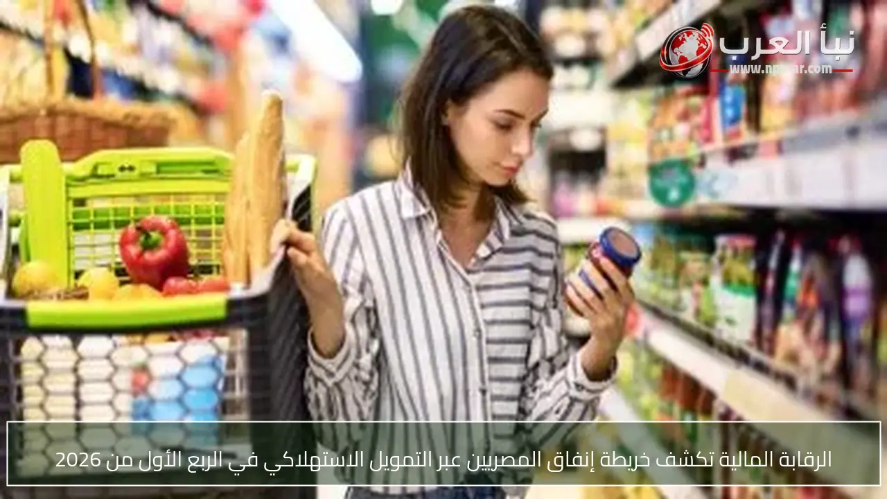الرقابة المالية تكشف خريطة إنفاق المصريين عبر التمويل الاستهلاكي في الربع الأول من 2026