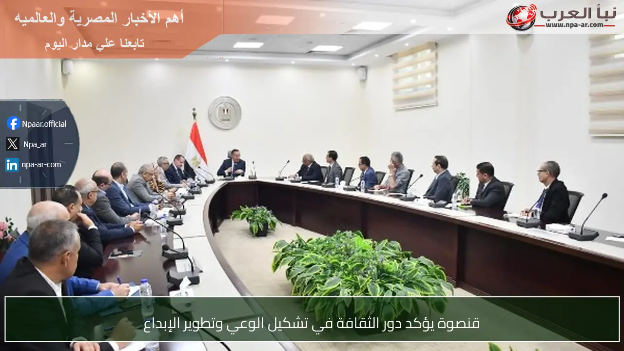 قنصوة يؤكد دور الثقافة في تشكيل الوعي وتطوير الإبداع