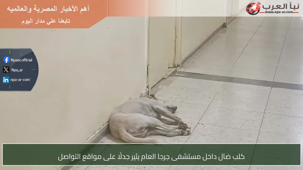 كلب ضال داخل مستشفى جرجا العام يثير جدلًا على مواقع التواصل