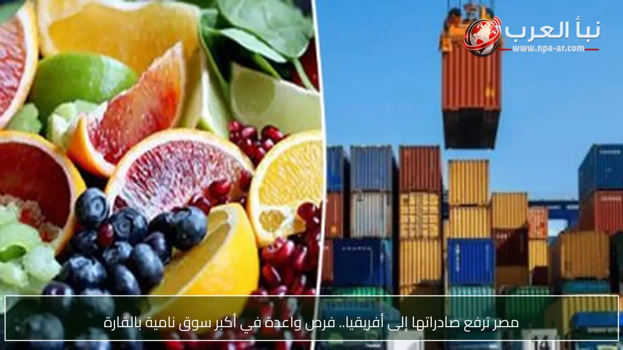 مصر ترفع صادراتها إلى أفريقيا.. فرص واعدة في أكبر سوق نامية بالقارة