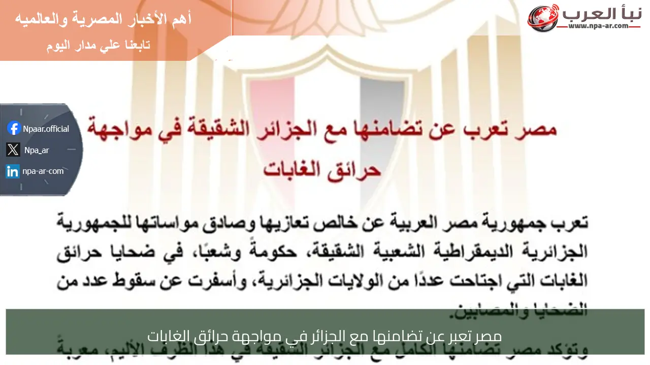 مصر تعبر عن تضامنها مع الجزائر في مواجهة حرائق الغابات