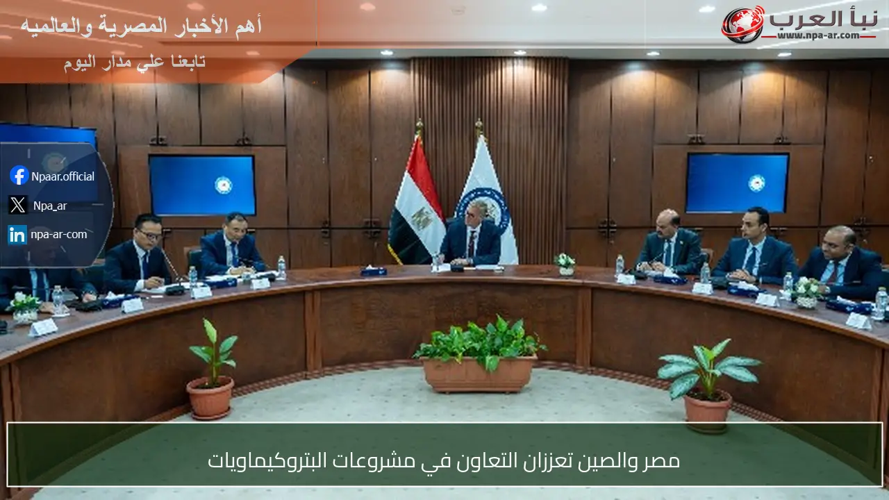 مصر والصين تعززان التعاون في مشروعات البتروكيماويات
