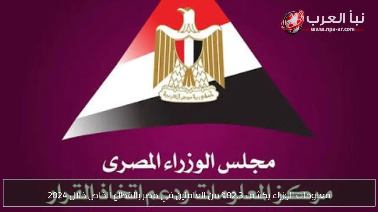 معلومات الوزراء يكشف 82.3% من العاملين في مصر بالقطاع الخاص خلال 2024