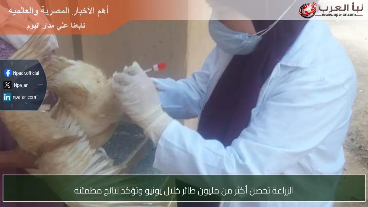 الزراعة تحصن أكثر من مليون طائر خلال يونيو وتؤكد نتائج مطمئنة