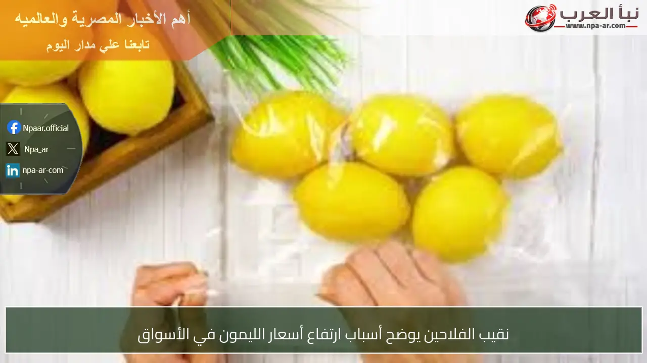 نقيب الفلاحين يوضح أسباب ارتفاع أسعار الليمون في الأسواق